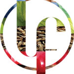 Liquoreria Friulana Opificium srl