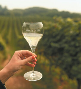 Cantina Montelvini