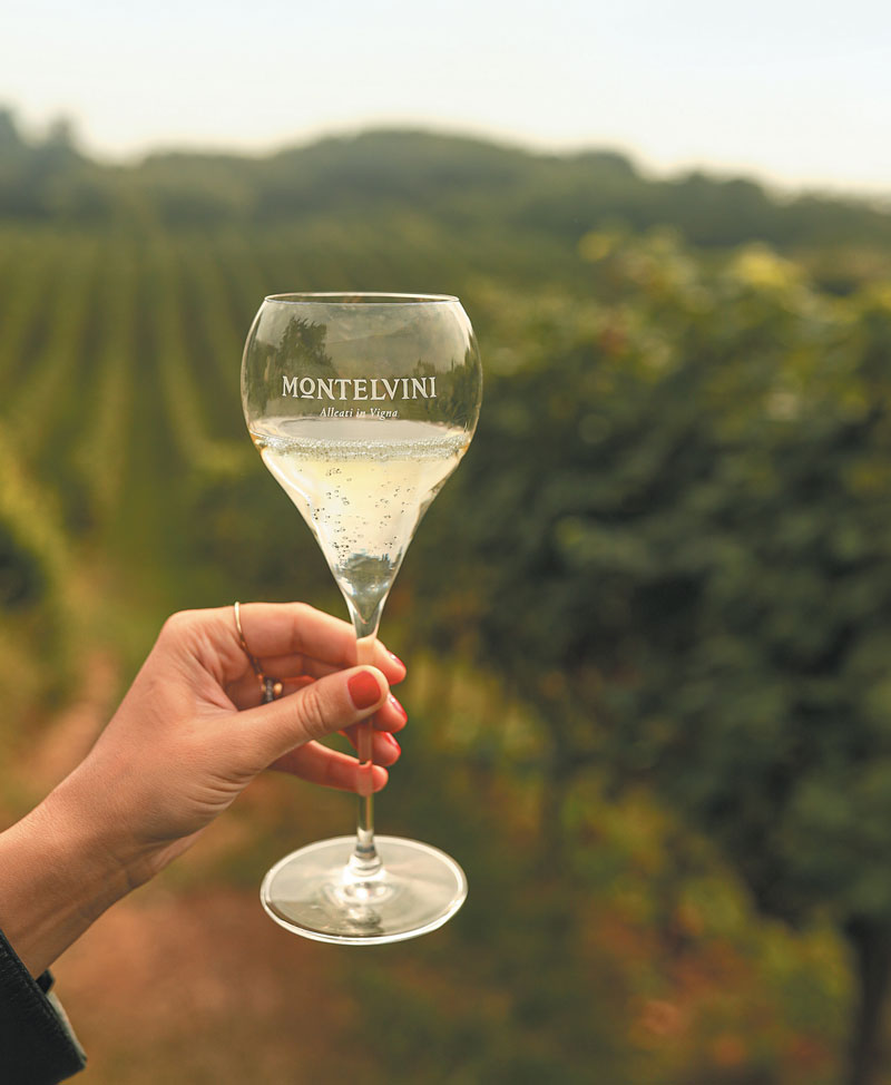 Cantina Montelvini