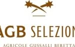 Agb Selezione srl