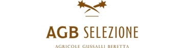 Agb Selezione srl