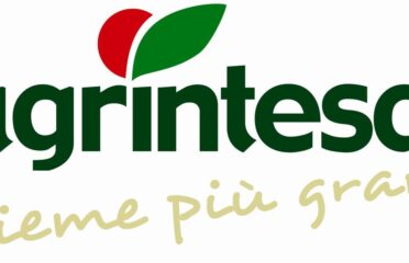 Agrintesa soc coop agricola