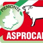 Organizzazione produttori carne Piemonte scc