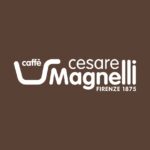 Cesare Magnelli srl