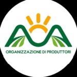 Consorzio Associazione Ortofrutticoltori Agro Scrl