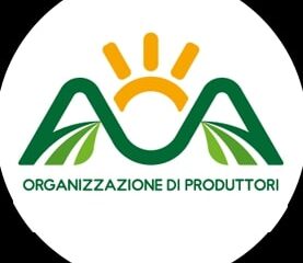 Consorzio Associazione Ortofrutticoltori Agro Scrl