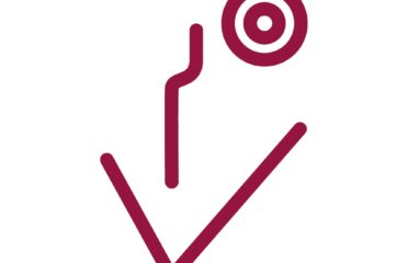 Villani Wine & Spirits Experience  srl