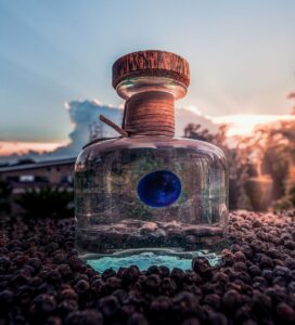 Gin Procera di Pallini spa