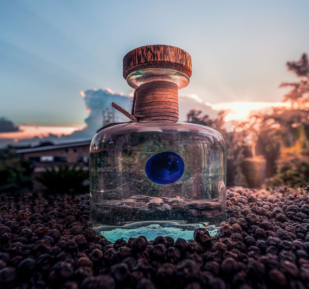 Gin Procera di Pallini spa